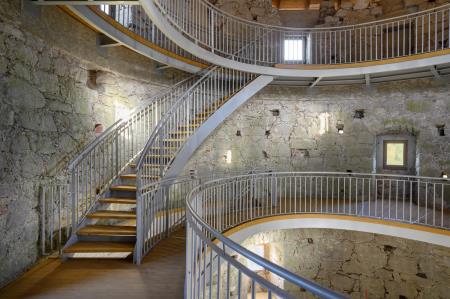 foto _ Miran Kambič (10)